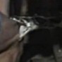 93035.jpg
