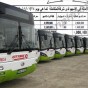 95131.jpg