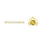 جمعية الحديث الشريف وإحياء التراث
