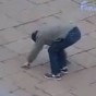 95655.jpg