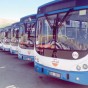 95900.jpg