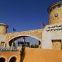 جامعة العلوم والتكنولوجيا الاردنية -  ارشيف