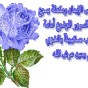 96547.jpg