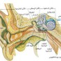 96759.jpg