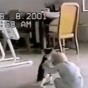 97063.jpg