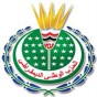 97181.jpg