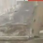 97254.jpg