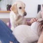 للمرأة الحامل.. نصائح عن الكلاب!
