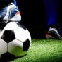 كرة القدم