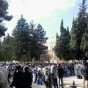 JUprotest1.jpg