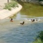 قناة الملك عبد الله