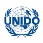 منظمة الأمم المتحدة للتنمية الصناعية