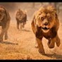 صورة من الفيديو