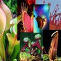Untitled-1.jpg