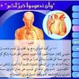 فوائد الصوم