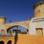جامعة العلوم والتكنولوجيا الاردنية - أرشيفية