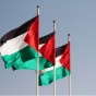 العلم الفلسطيني - ارشيف