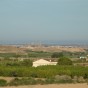 غور الأردن