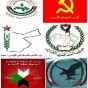 ائتلاف القومية واليسارية