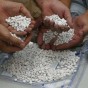 مخدرات - ارشيفية