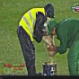 شاهد الفيديو