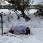 دفنا تحت الثلج 11 يوما