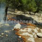 حريق في غابات الجزازة - ارشيفية