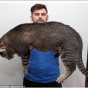 صورة الهر مع صاحبه
