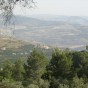 غابات دبين