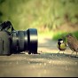 صورة تعبيري