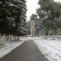 الثلج في الجامعة الاردنية  - تعبيرية