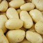 بطاطا  - أرشيفية