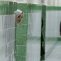 الدعارة في إيران