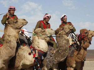 قوات البادية تمنع عددا من الاشخاص التسلل الى اراضي المملكة