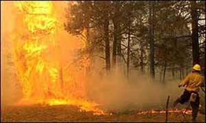 حريق اريزونا الضخم يهدد تجمعات سكانية شرقي الولاية الاميركية  