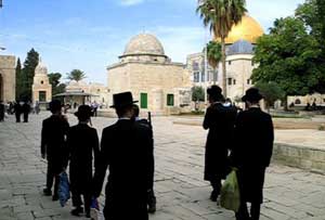 مستوطنون يستبيحون باحات الأقصى    