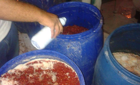 عجلون: اتلاف 368 كغم مواد غذائية غير صالحة عجلون: اتلاف 368 كغم مواد غذائية غير صالحة