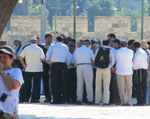 مرابطون يقللون اقتحامات الأقصى 