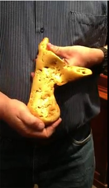 هاوٍ  أسترالي يعثر على سبيكة من الذهب    ( فيـديـو )