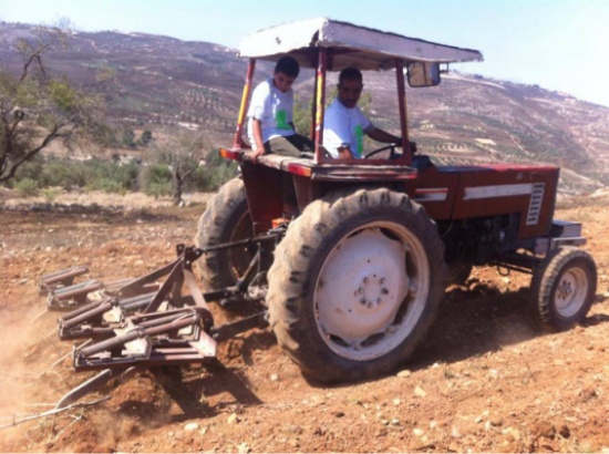 العربية لحماية الطبيعة تزرع 5 الاف شتلة زعتر بأرض شهيد فلسطيني