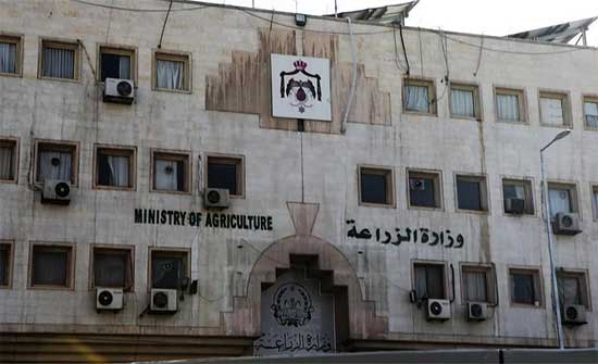 الزراعة: لن نتساهل مع الحيازات الوهمية .. وحملة لتحصين الأغنام ضد الحمى القلاعية