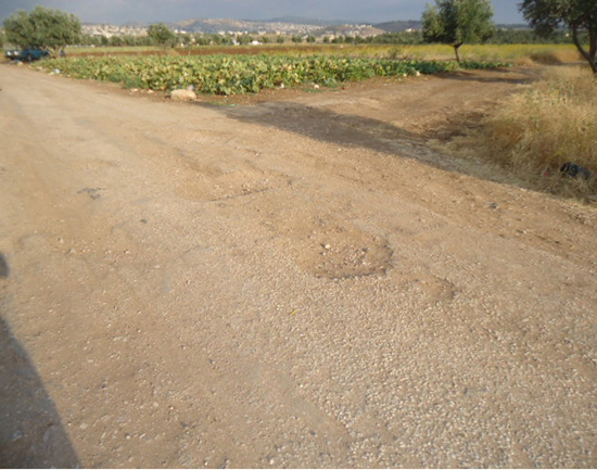 طرق الكورة المتهالكة تسبب الخسائر للمزارعين