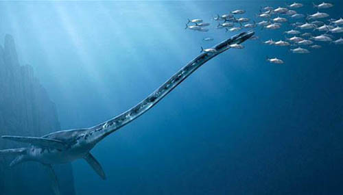 بالصور.. اكتشاف عظام "وحش بحري" عمره 200 مليون عام بالصدفة