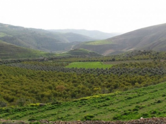 أجواء أقرب للربيعية في أغلب مناطق المملكة ... الاثنين أجواء أقرب للربيعية في أغلب مناطق المملكة ... الاثنين
