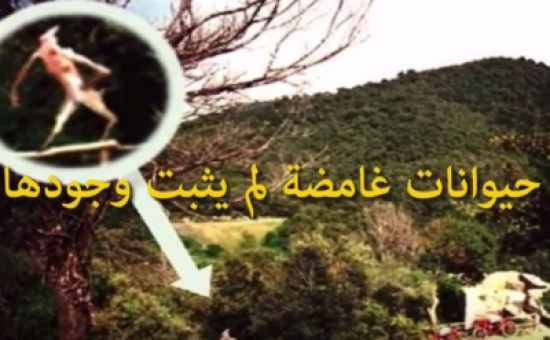 فيديو: 10 حيوانات غامضة لم يثبت وجودها