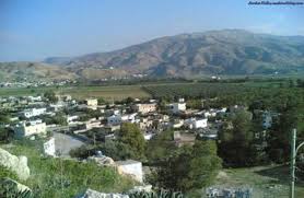 774ر3 مليون دينار موازنة بلدية دير علا