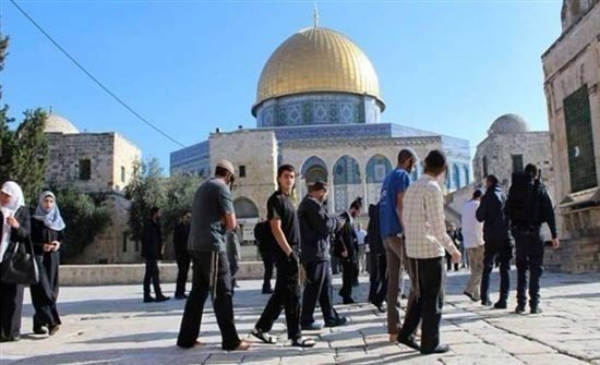 عين على القدس يتابع تصعيد انتهاكات المتطرفين اليهود للأقصى عين على القدس يتابع تصعيد انتهاكات المتطرفين اليهود للأقصى