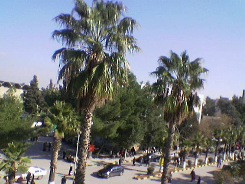 نادي خريجي جامعة اليرموك يكرم عددا من خريجها