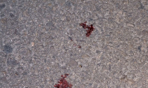 الكرك : الأمن يلقي القبض على مرتكب جريمة دهس