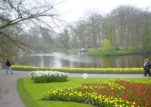 فضيحة جنسية ضخمة تهز هولندا !!